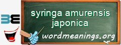WordMeaning blackboard for syringa amurensis japonica